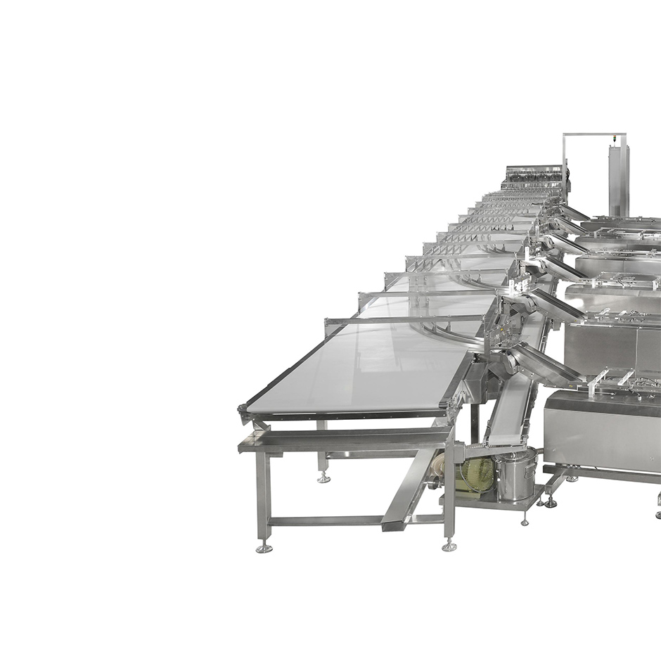 Smart belt feeding system