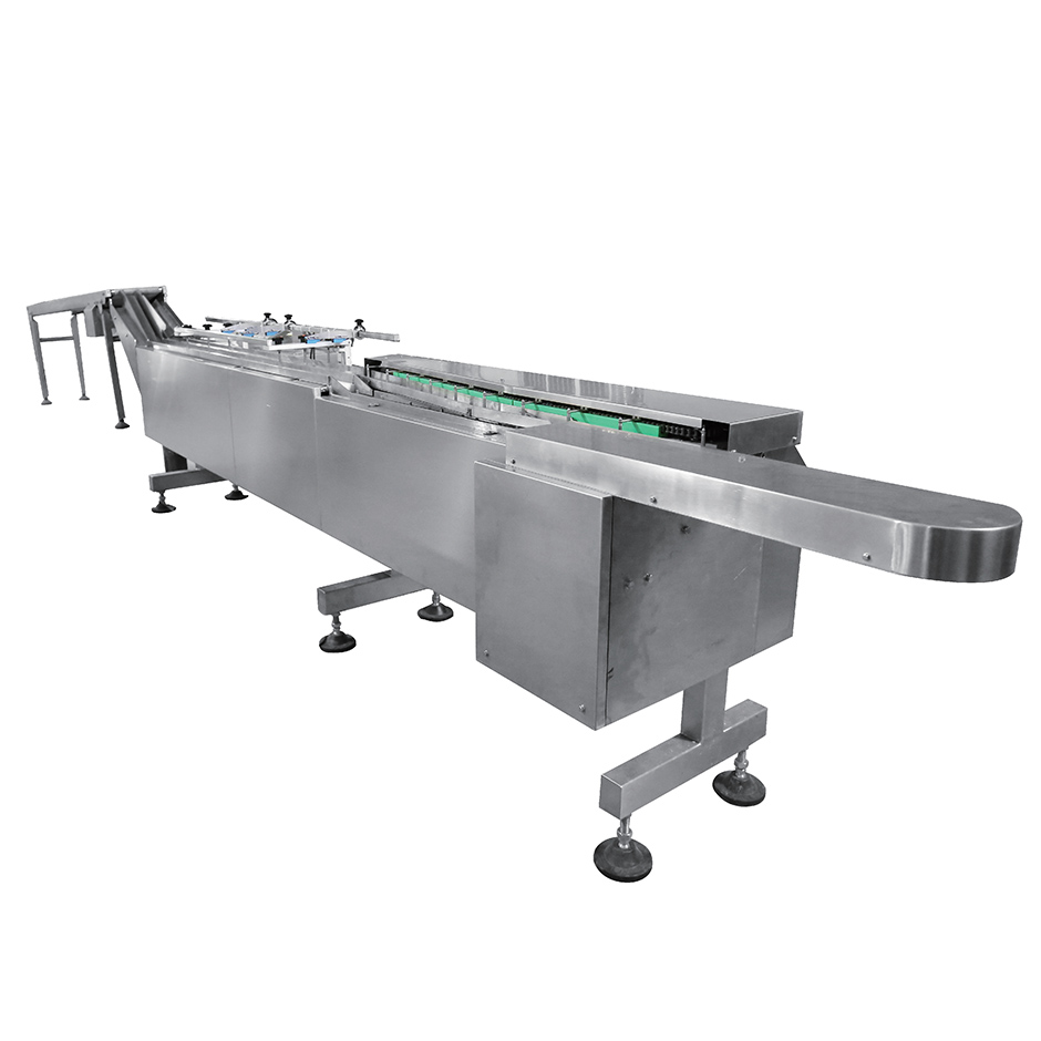 Smart belt feeding system