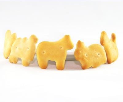 Hard-and-soda-biscuits-A1